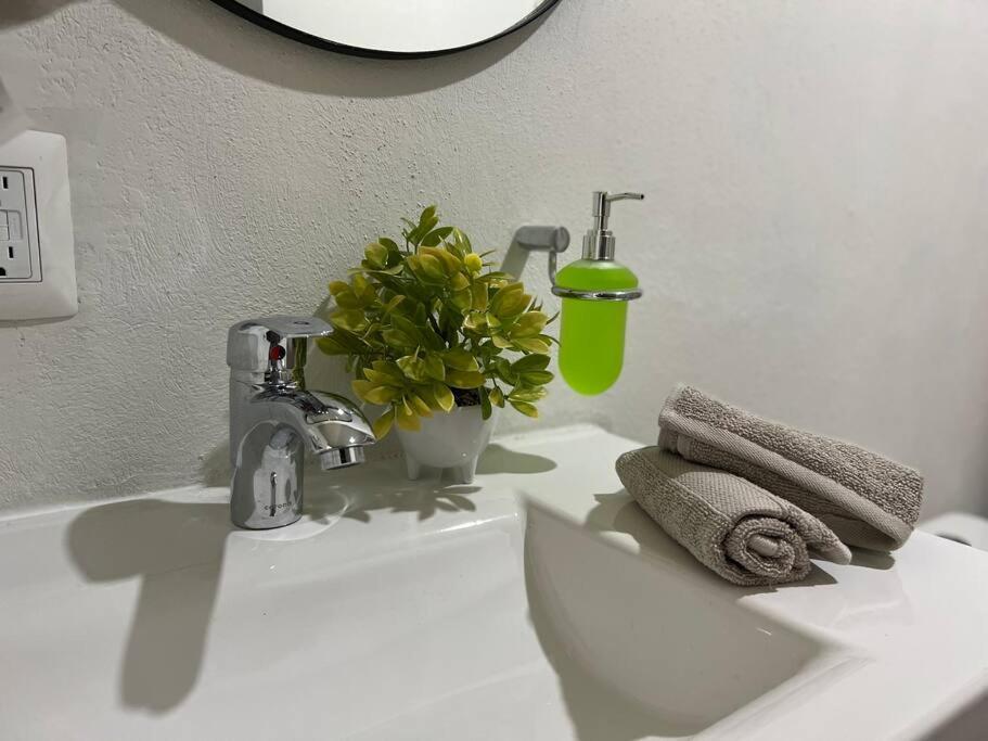 Appartamento Depa Boho Al Sur Pet Friendly Piscina Gym Sala De Cine Guadalajara Esterno foto